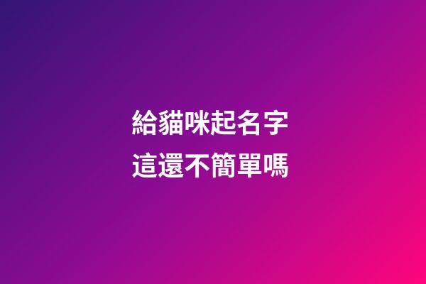 給貓咪起名字 這還不簡單嗎